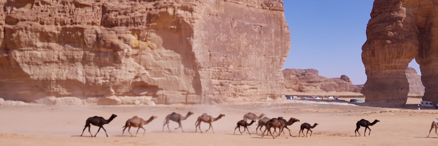fahd_hamad's profile banner image
