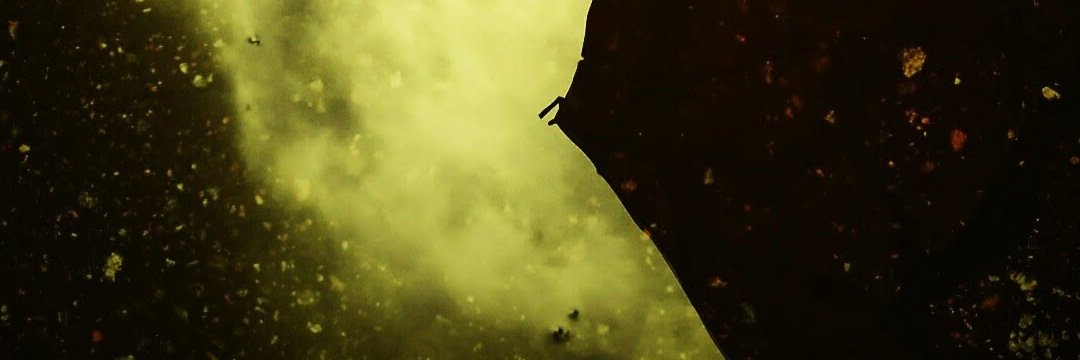 nicolas_513's profile banner image