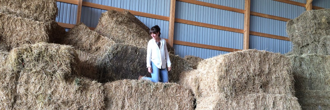 Chelsey Simpson banner