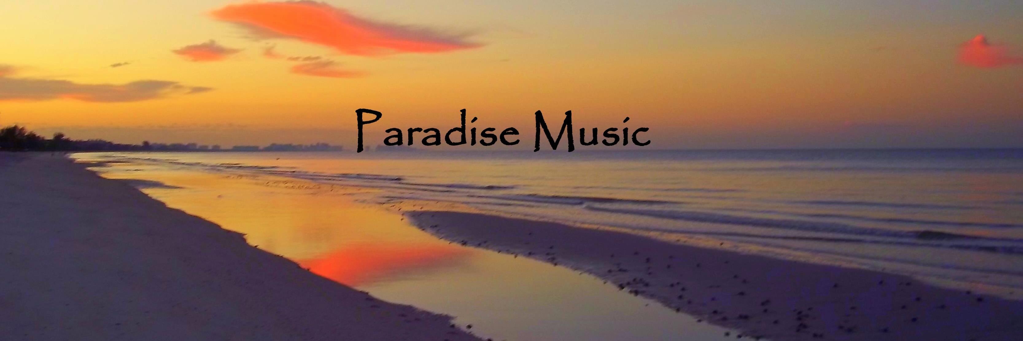 ParadiseMusicUS's profile banner image