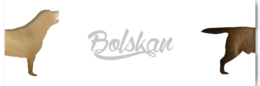 BolskanLAB's profile banner image