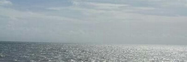 Mitch600rr Profile Banner