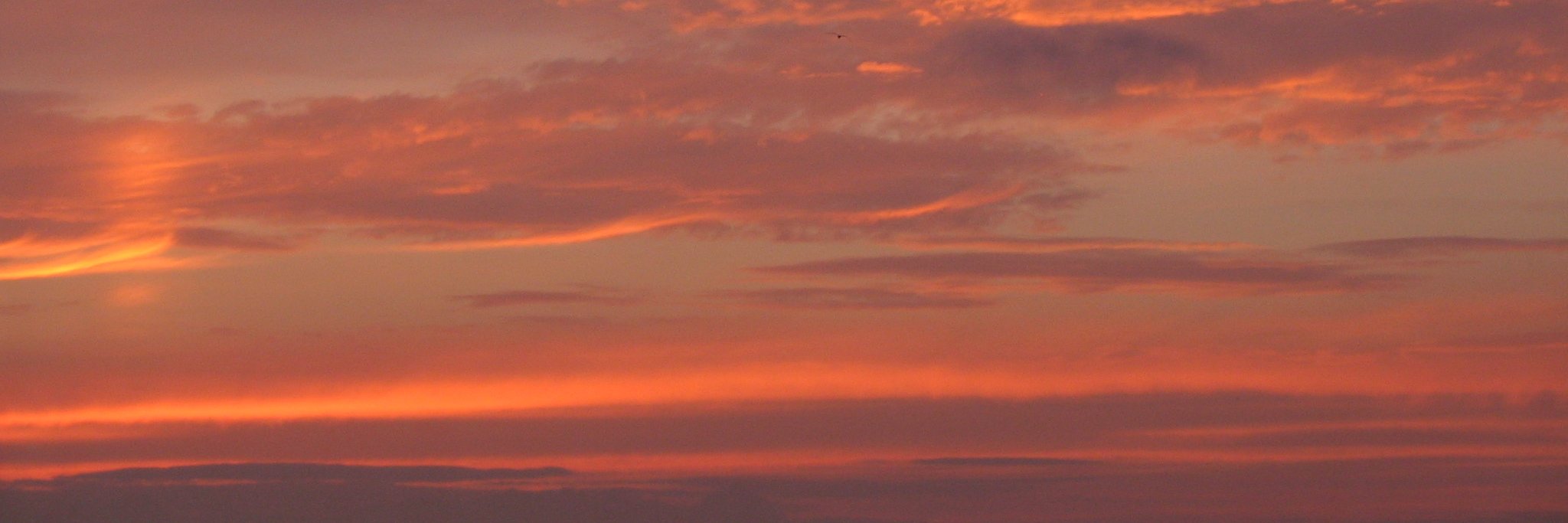 johnihendrick's profile banner image