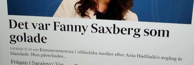 fannysaxberg's profile banner image