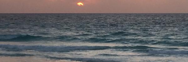 gavkar Profile Banner