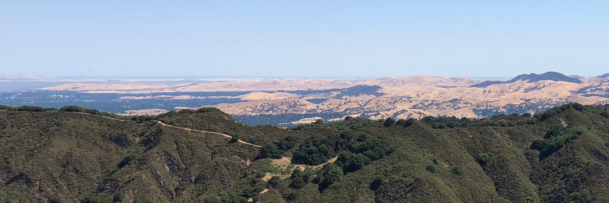 Arnaldo "Arnie" Lopez banner