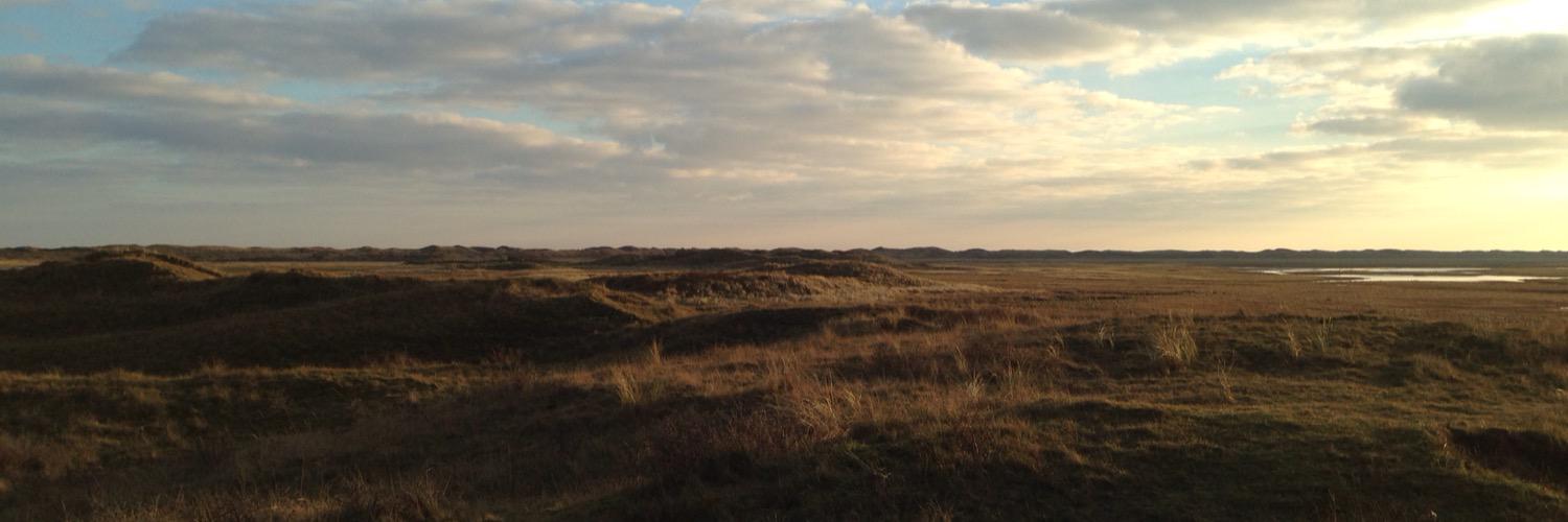 PieterTexel's profile banner image
