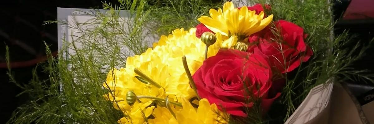 141319Ali's profile banner image