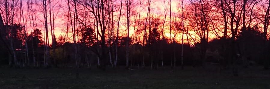 Martin Schilling banner