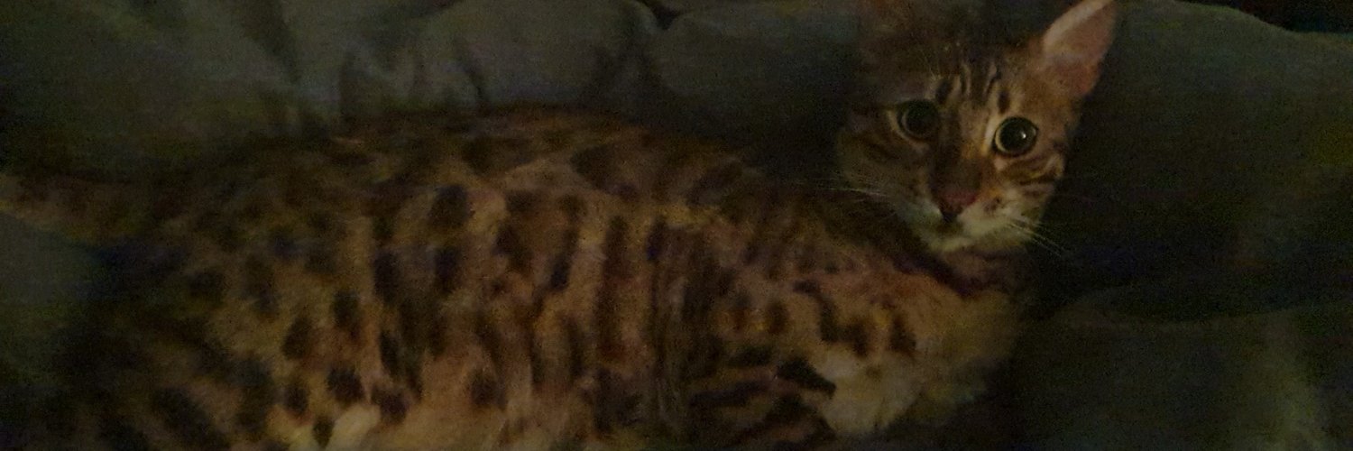 Fletchhhh's profile banner image