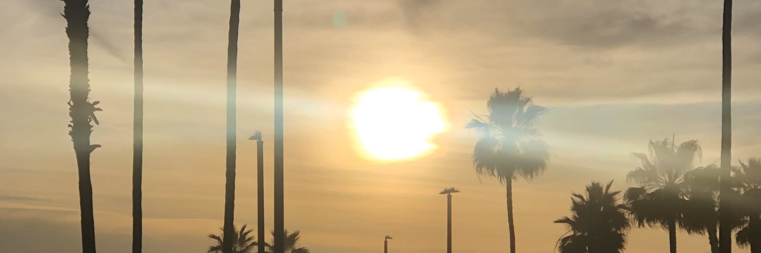 m_lapointe's profile banner image
