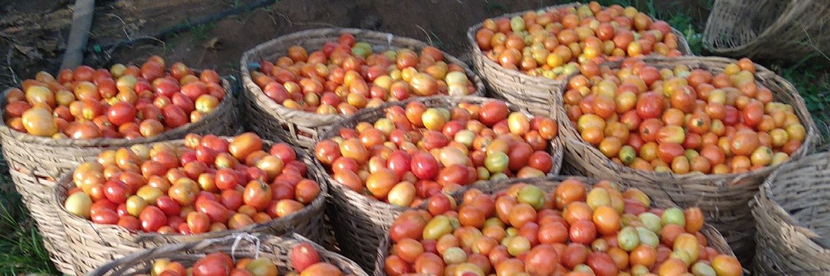 Oluwapetr Eboda📸☃♚ banner