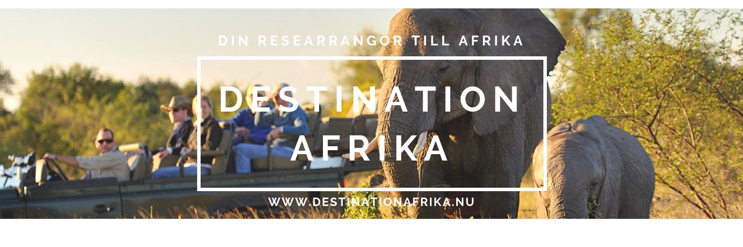DestAfrika's profile banner image