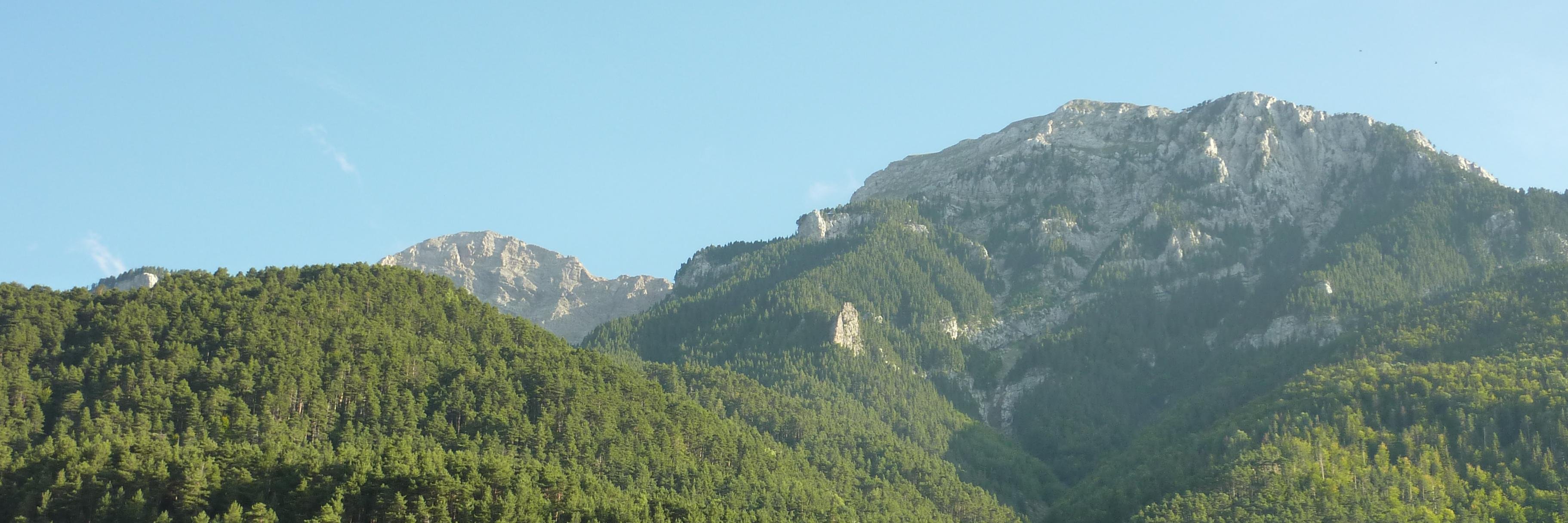 Ricard banner