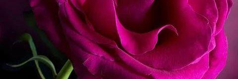 Juana647U's profile banner image
