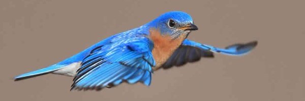 jamalkt Profile Banner