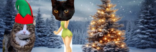 WickerdyWoo Profile Banner