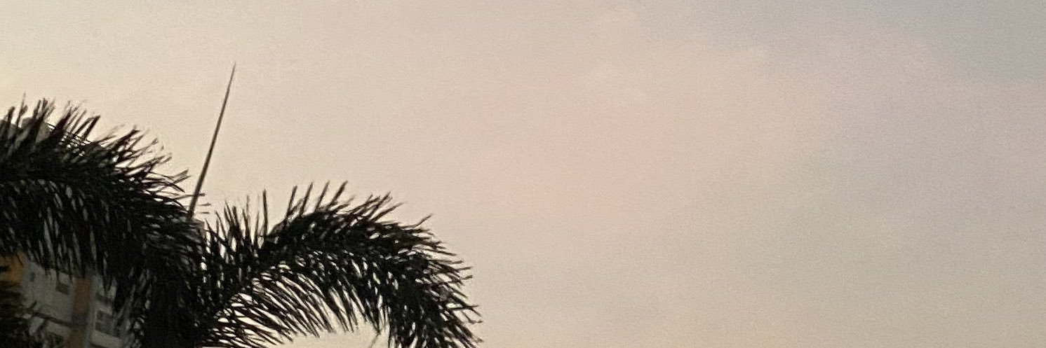 ryandivinap's profile banner image