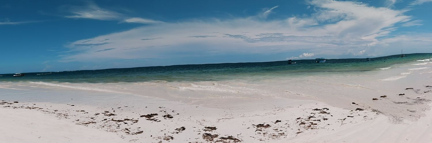 Karingi_'s profile banner image