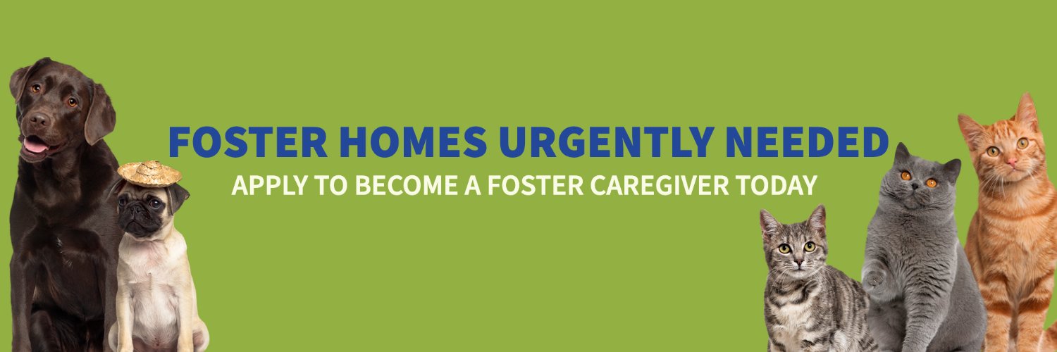 Humane Society of Loudoun County banner