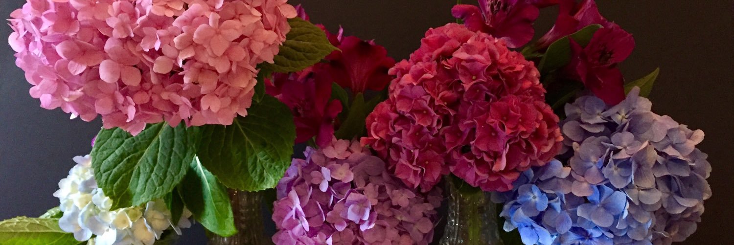 Debbie Daniel  banner