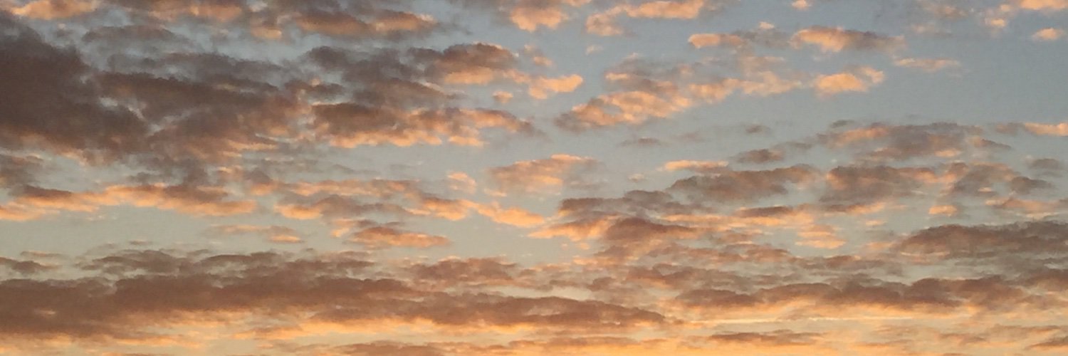 sofsribas's profile banner image