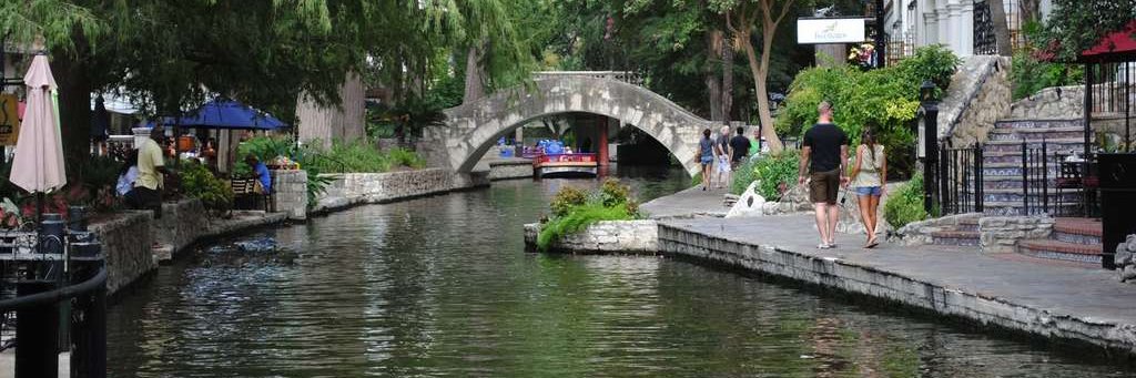 🐾 Julie Horn 🐾 banner