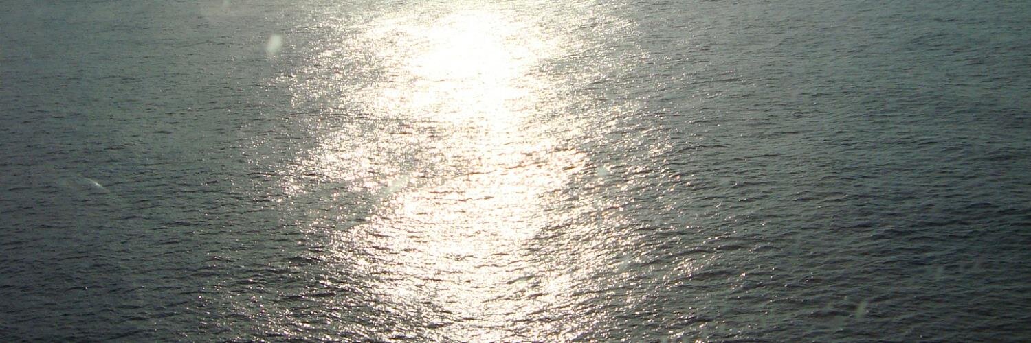 tanline691's profile banner image