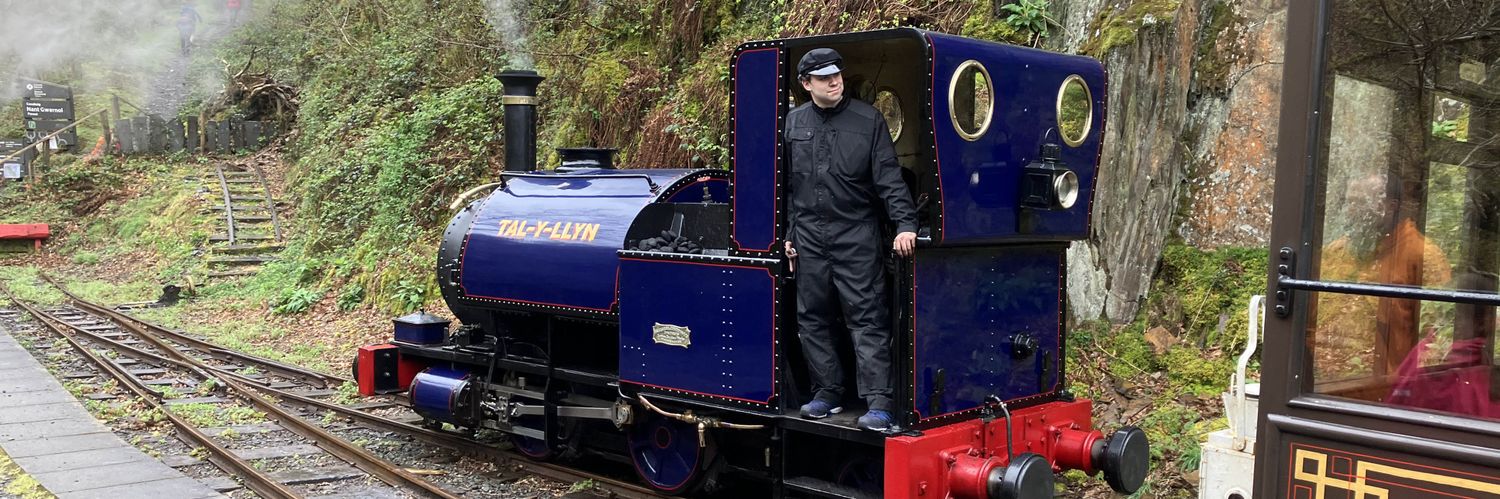 NerdyNorwegian banner