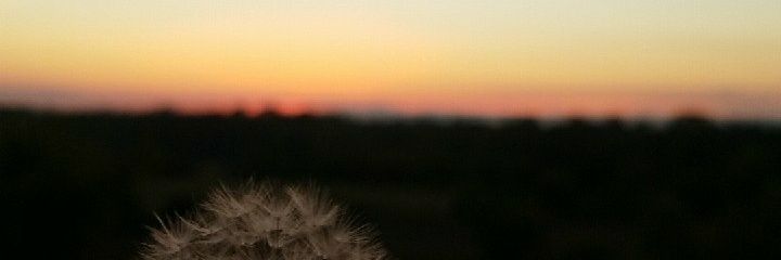 MobergTaylor's profile banner image