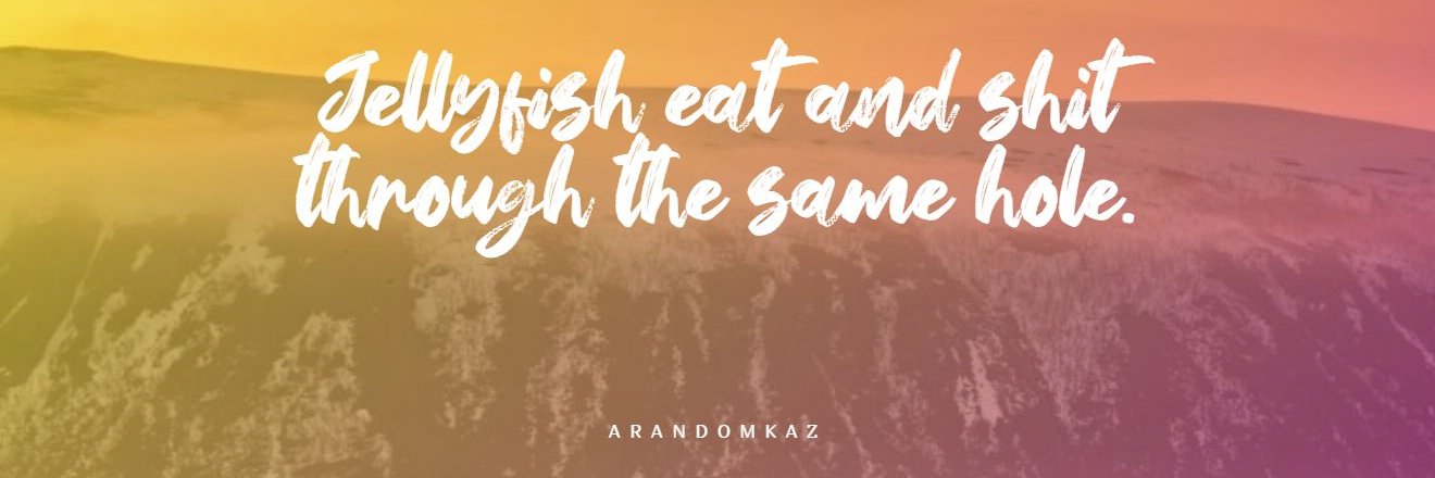 kazama_andy's profile banner image