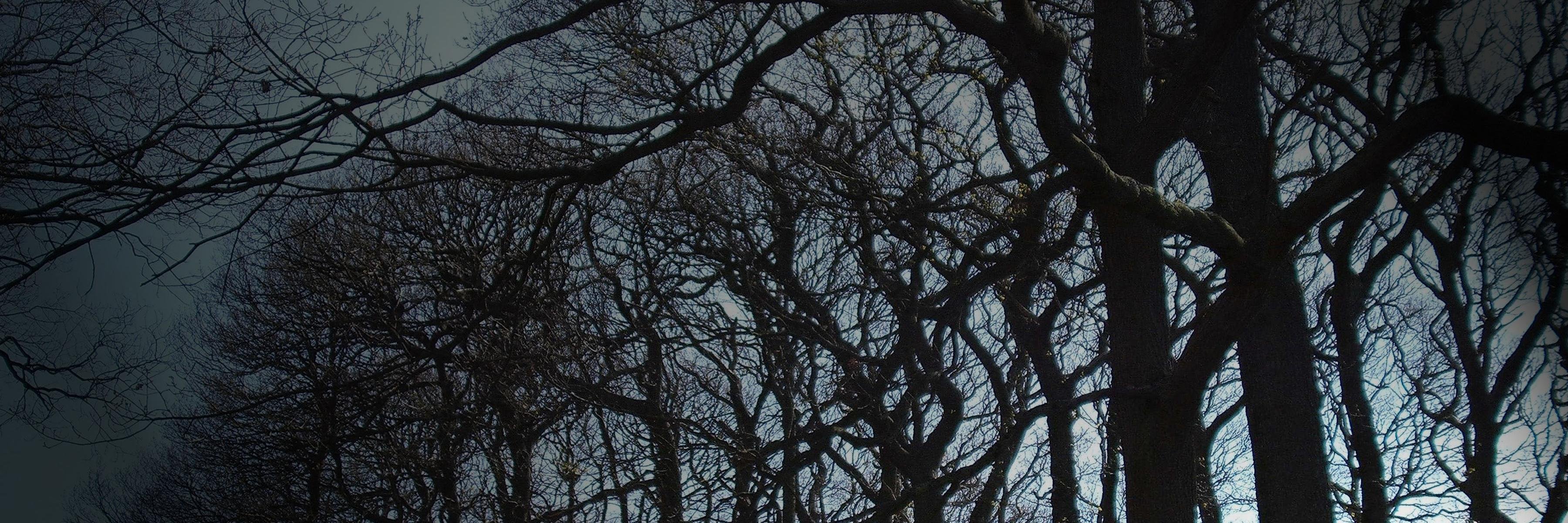 Chobbingham's profile banner image