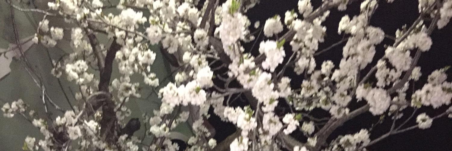 irenemfx's profile banner image