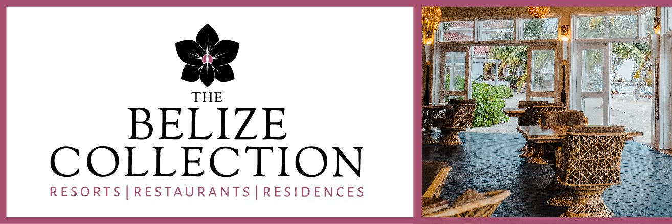 BzeCollection's profile banner image