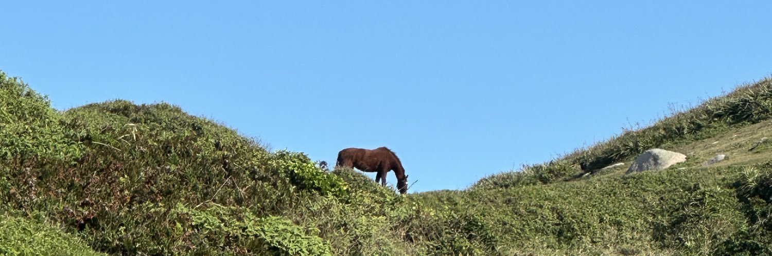 Abhimanyu Kashyap banner