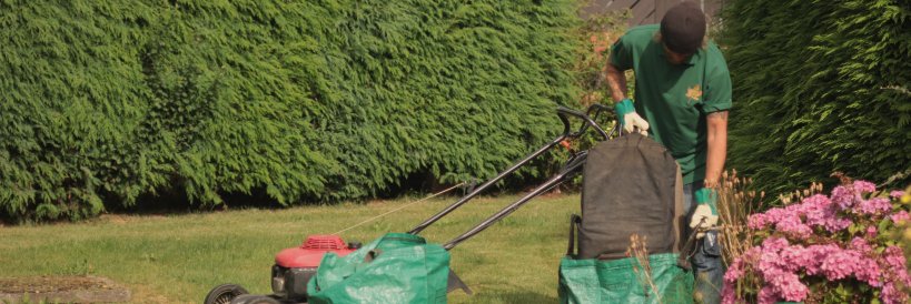 GreenTeamGoole's profile banner image