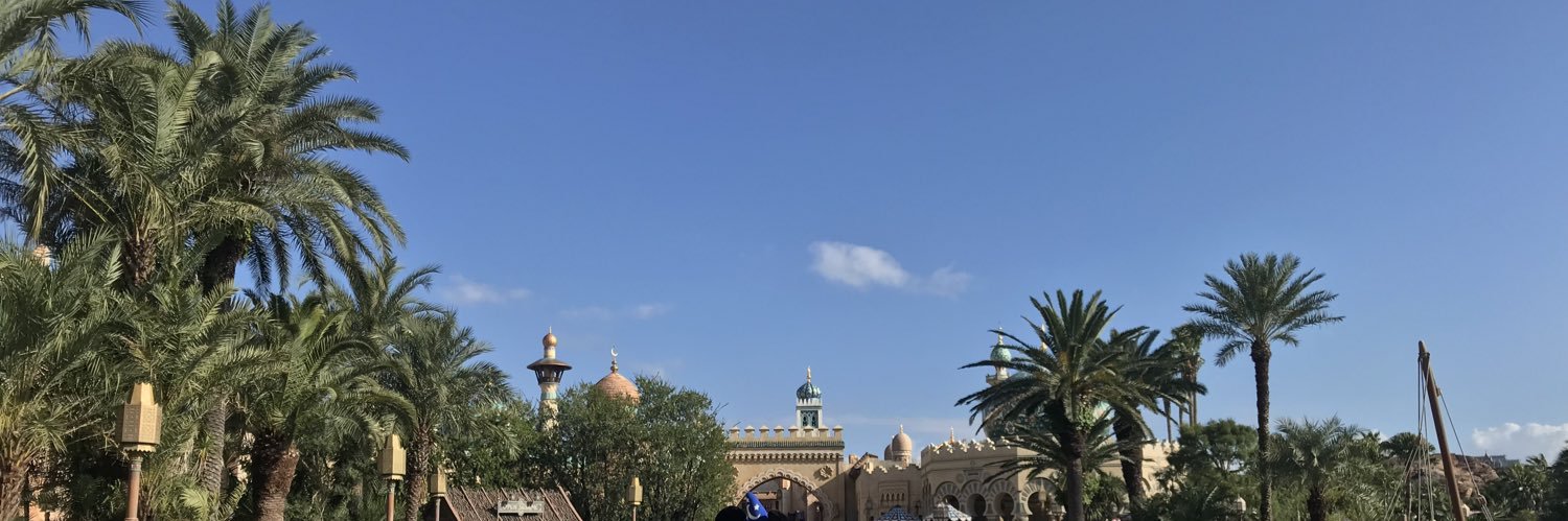 picalpis65's profile banner image
