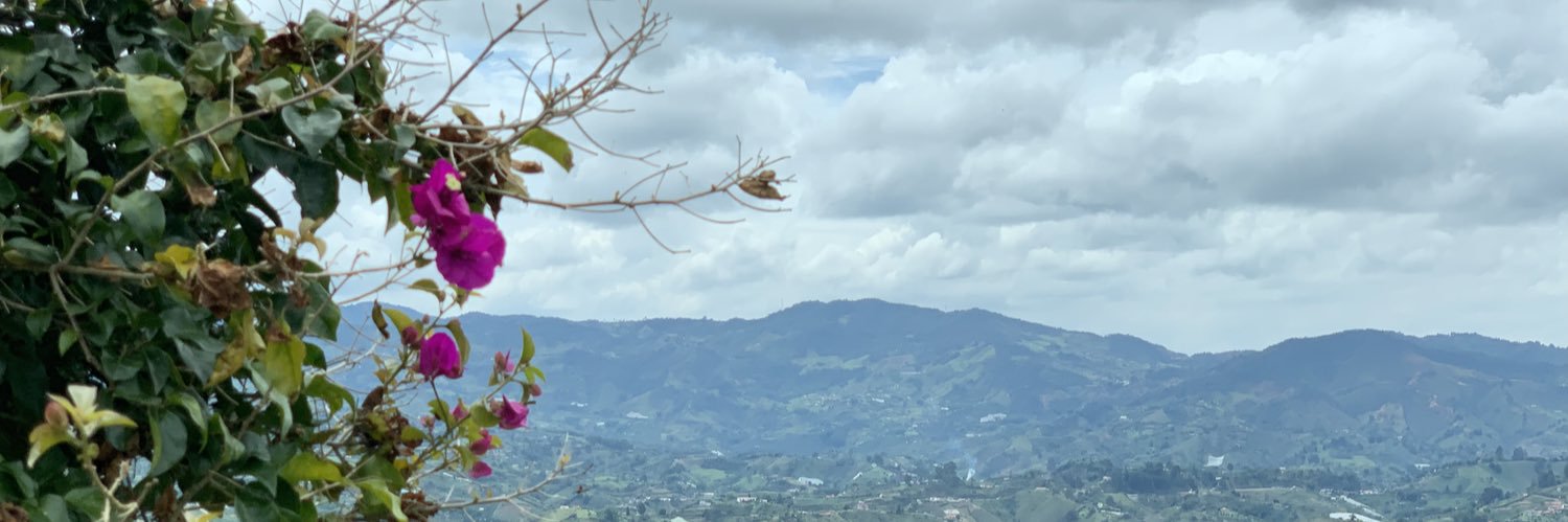 DebCAlmeida's profile banner image