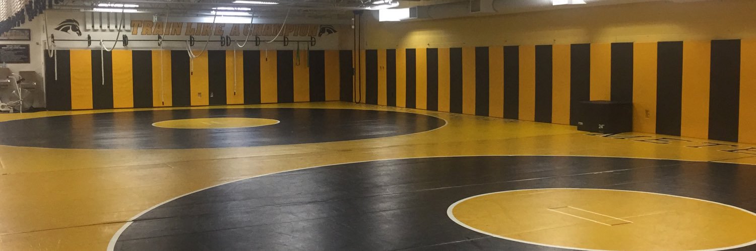 Metea Valley Mustang Wrestling (@Meteawrestling) / Posts / X