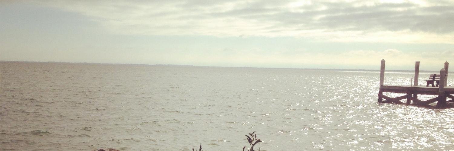 samiam17's profile banner image