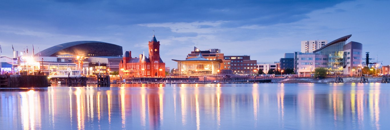 BSI South Wales banner