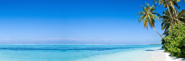 vitacocoae Profile Banner