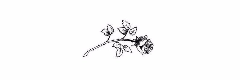 flxwersh's profile banner image