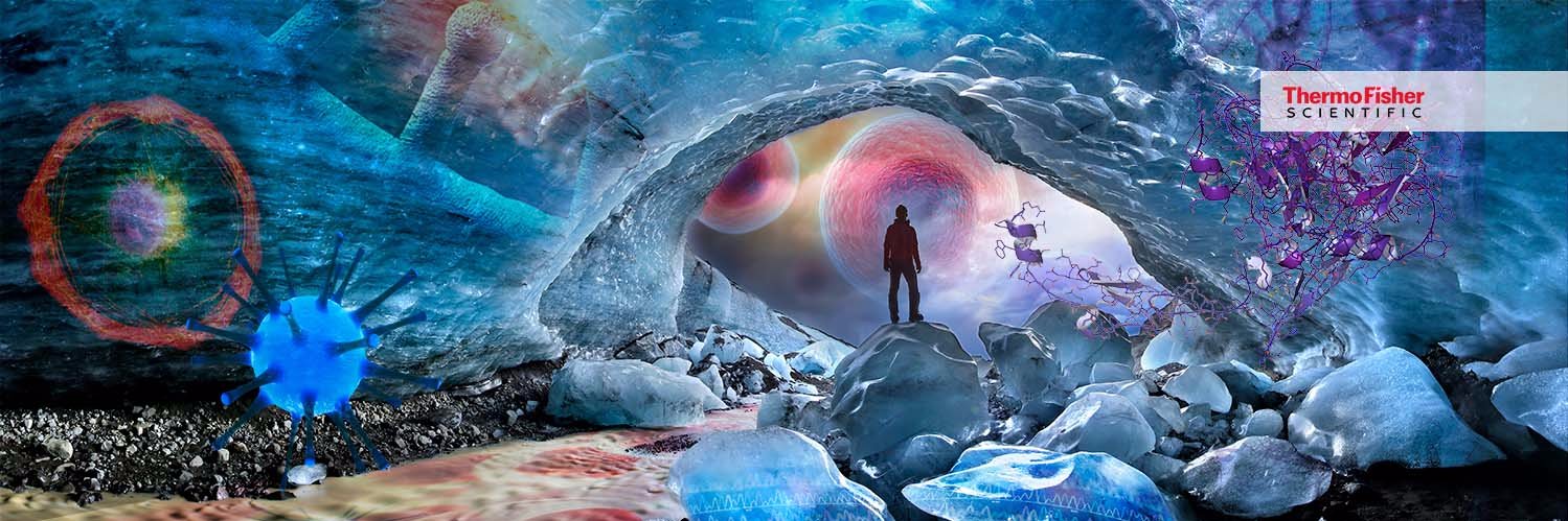 Invitrogen banner