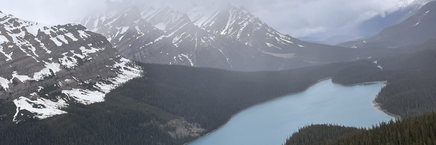 becomeafisher's profile banner image