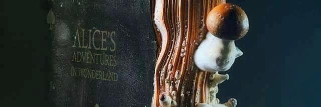 mmm_hell's profile banner image