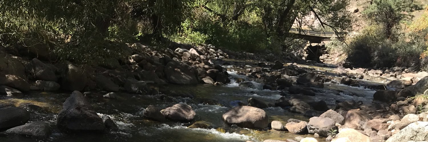 tlonch24's profile banner image