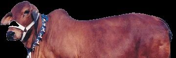 akvet1964's profile banner image