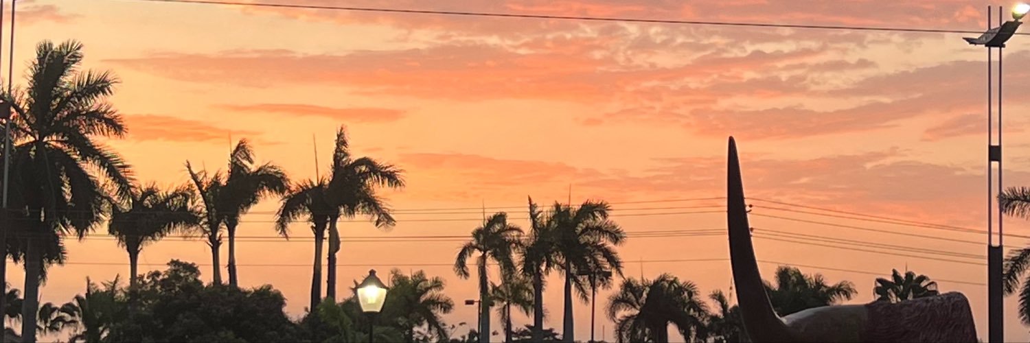 szev99's profile banner image