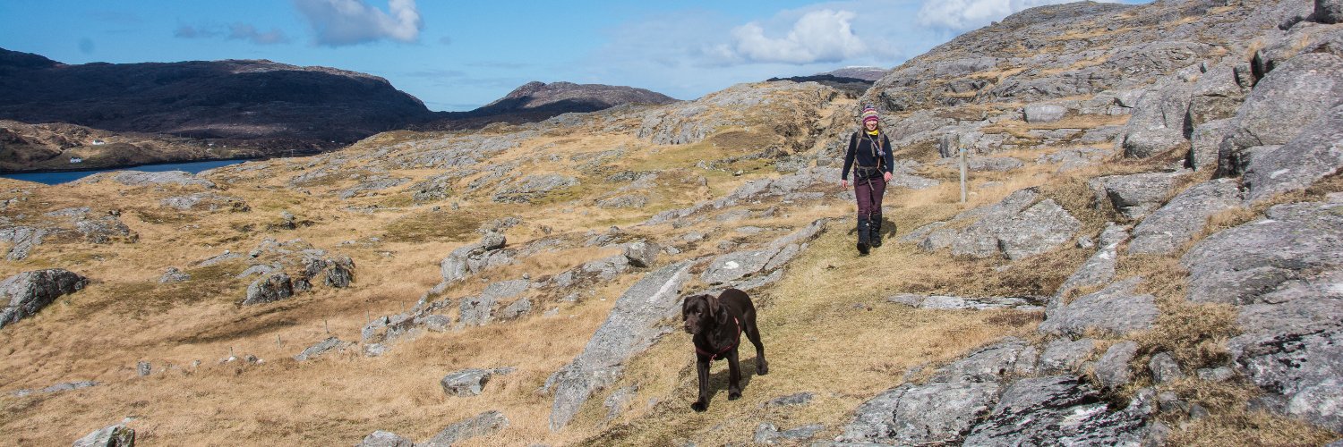 Fiona Rintoul banner